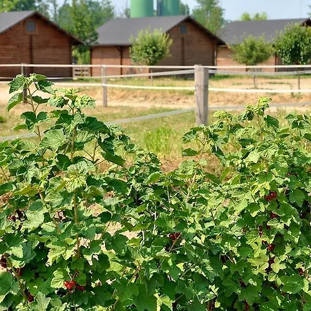 Cascina Corte Grande Farm stay Pavia